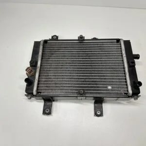 Radiateur SYM GTS 125 SPORT 2015-2017 - Pièces Occasions