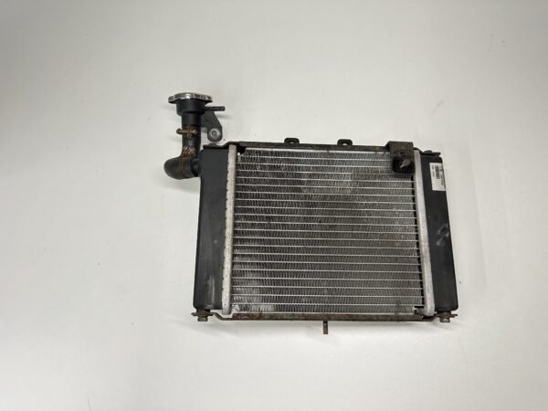RADIATEUR KYMCO GRAND DINK 125 S 2008-2014