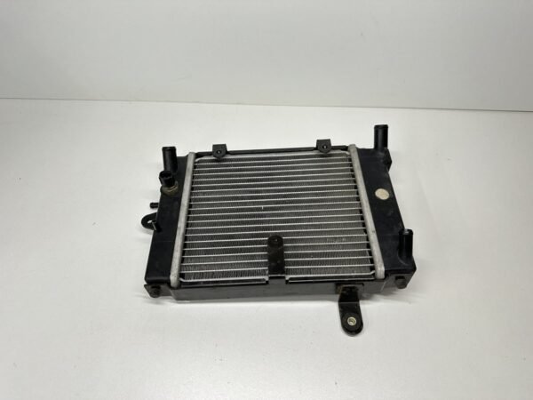 RADIATEUR DAELIM S3 125 2010-2016
