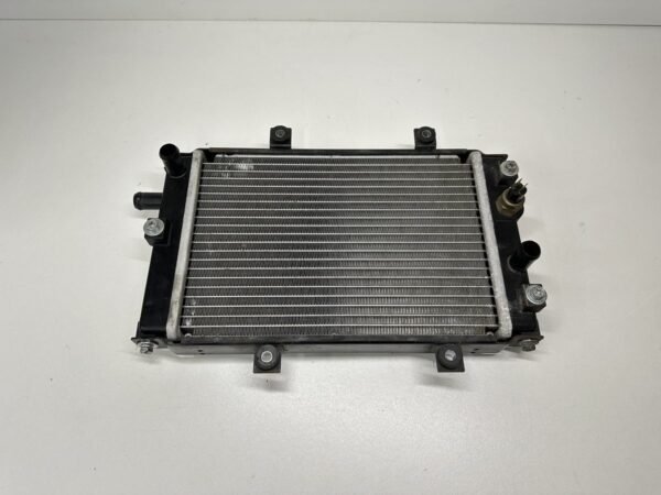 RADIATEUR QUADRO S 350 2015-2018 – Image 5