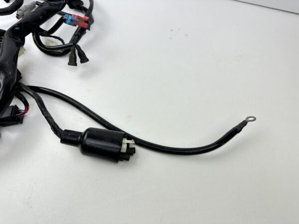 FAISCEAU ELECTRIQUE CYCLONE Z2 125 2017-2019 – Image 5