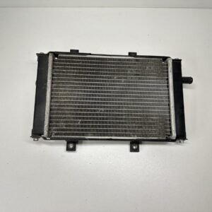 RADIATEUR QUADRO S 350 2015-2018