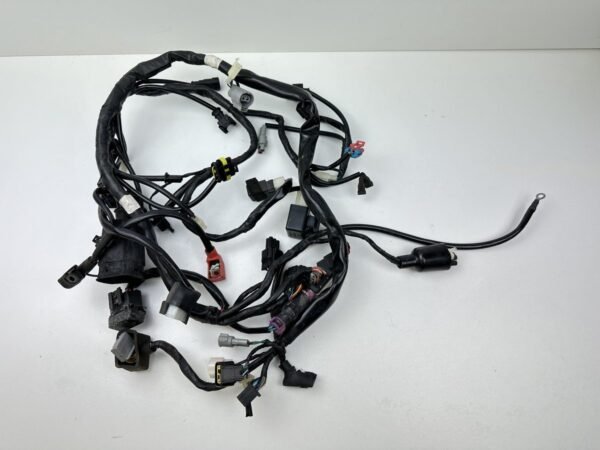 FAISCEAU ELECTRIQUE CYCLONE Z2 125 2017-2019