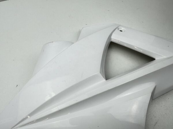 ECOPE GAUCHE GAS GAS 300 EC 2007-2011 – Image 3