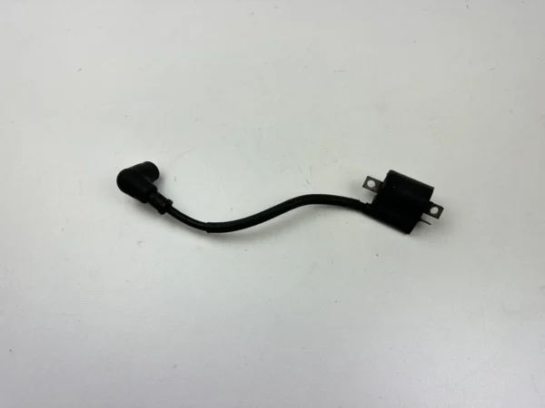 BOBINE ALLUMAGE YAMAHA TDR 125 1998-2003