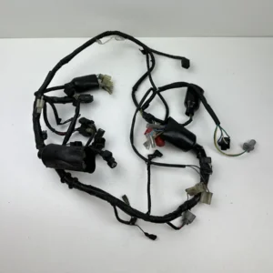 FAISCEAU ELECTRIQUE HONDA CBF 125 2009-2014